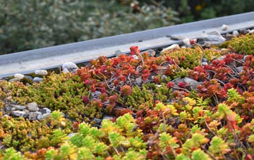 the cost of Aird Nan Struban green roof installation