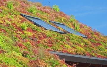 Aird Nan Struban living roof systems