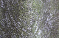 Aird Nan Struban fibreglass roof work